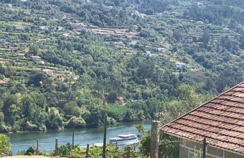 Quinta do galo - Foto 6