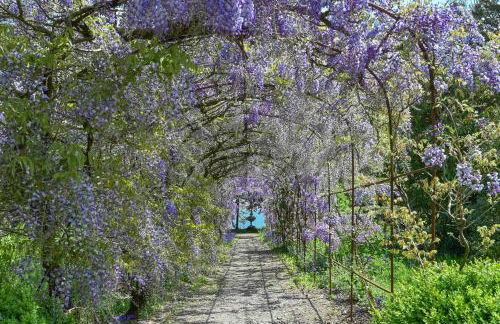 Finest Retreats - Historic Castle on River Tamar - Photo 29