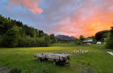 Laimgruber Hof - Naturresidenz - Foto 59