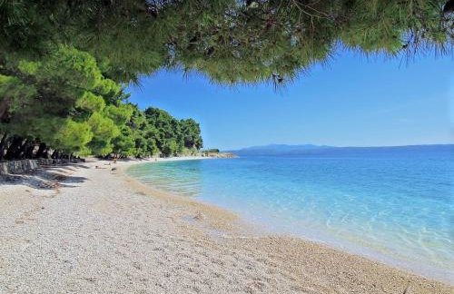 Vila Divna - Foto 46