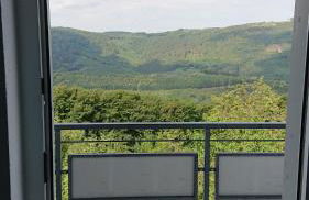 Ferienwohnungen Eismecke - Foto 33