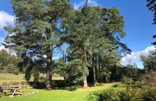 Beautiful Detached Farm House Near Lake Coniston - Pass the Keys - Photo 33