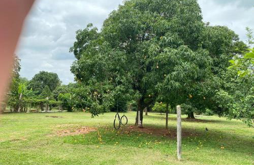 Chácara Andorinhas São Pedro SP - Foto 39