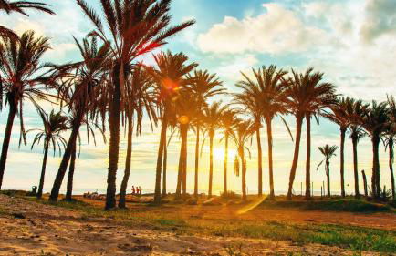 CB Living - Homely apartment Ciñuelica, Punta Prima - Foto 24