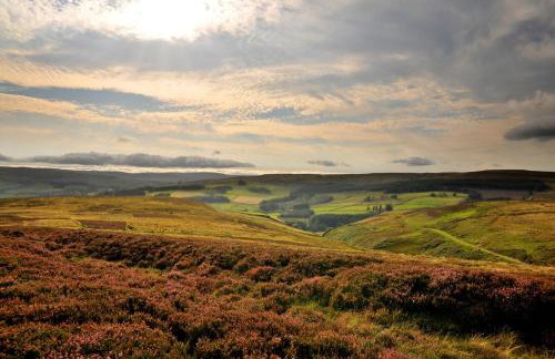 Willow View 3 Bedroom Home with Garden, Newton Aycliffe - Foto 33