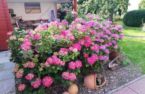 Alte Pastorei - Foto 4