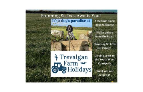 The Stable - Near St Ives Beaches Dog Friendly - Foto 25