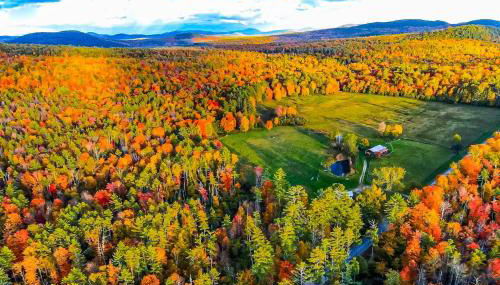 The Stock Farm - Foto 2