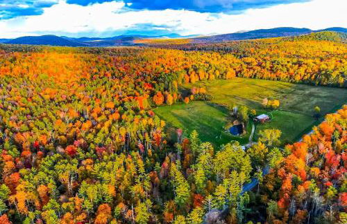 The Stock Farm - Foto 2