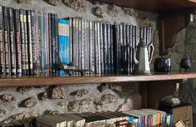 Condessa da Arrifana - Foto 11