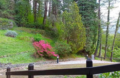 Il Bosco di Campo Marzano Nature Retreats - Foto 29