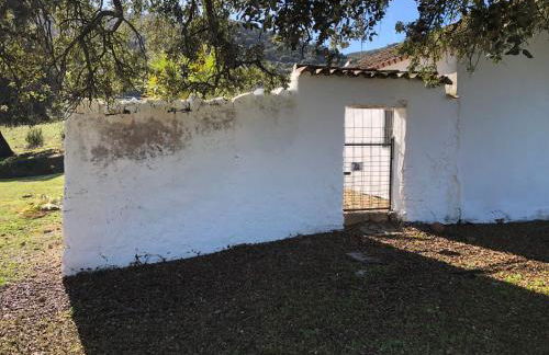 Finca La Vicaria ROMERO - Foto 14