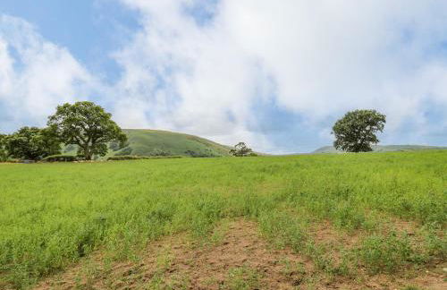 Byrdir Cottage - Photo 38