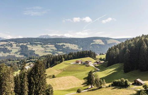 Biohof Untergröber - Foto 62