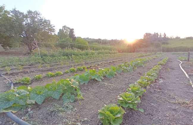 agriturismo le campanelle - Foto 72
