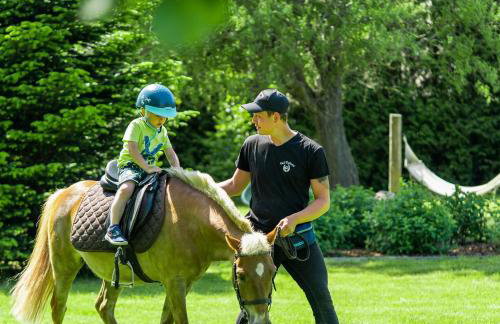 Apartamenty Pod Dębami Stadnina Koni SPA Jezioro i Morze Sarbsk - Photo 22