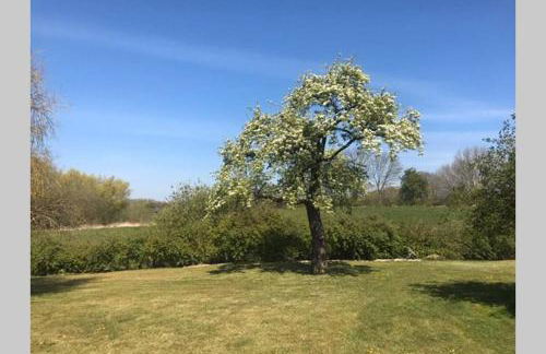 Gartenvilla@Baltic-Chalets - Foto 31