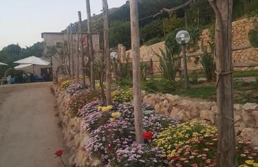 Agriturismo del Sole - Foto 87