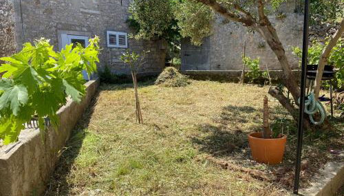 Sweet holiday house - Foto 3, Garden, Garden view