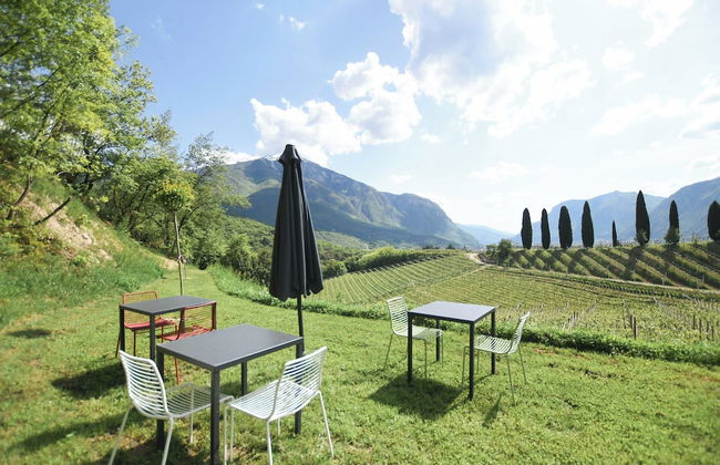 Agritur Casteller - Foto 77