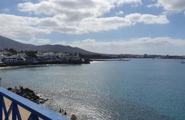 Erizo de mar - Foto 6