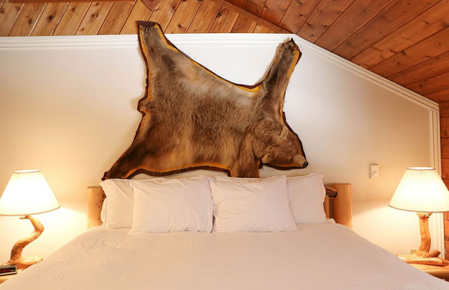 South Fork Cabin - Photo 3