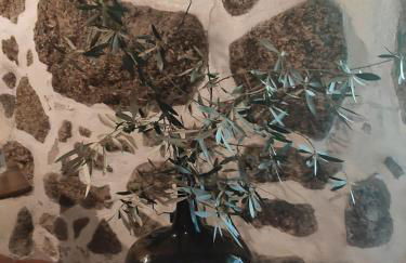 Casa Na Montanha Da Neve - Foto 67