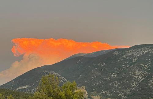 Les Terrasses du Ventoux - Foto 50