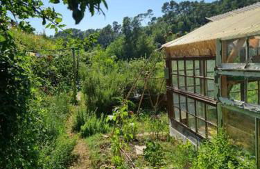 Cabayourte à la mauvaise herbe - Foto 20