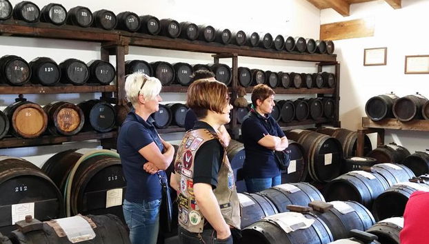 Excursión privada de un día y almuerzo: Degustación de queso parmesano, vino y vinagre - Foto 4