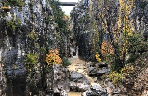Masia Cap del Roc - Photo 52