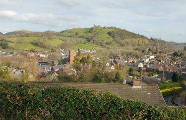 self contained flat in Llanfyllin Powys - Foto 2