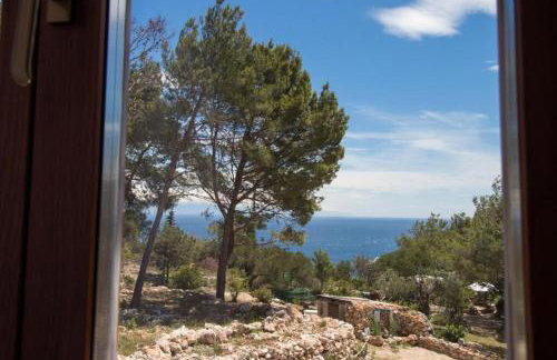 Apartments Nusret - Foto 15