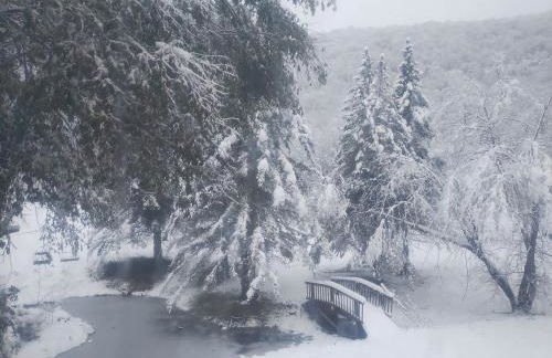 Homey Pet-Friendly Cabin Rental for Groups in the Catskills - Foto 12