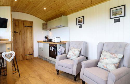 Defaid Cymreig - Foto 7