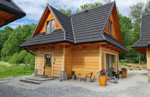 Żabie Dworki Witów Luxury Chalets & SPA - Foto 63