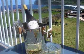 The Cão & Calf - Foto 53