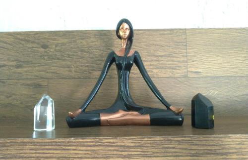 Villa Flor e Cor - Foto 24