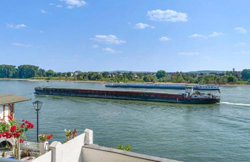 Wunderschöne Ferienwohnung direkt am Rhein - Foto 32