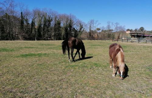 Le Vecchie Scuderie - Foto 14