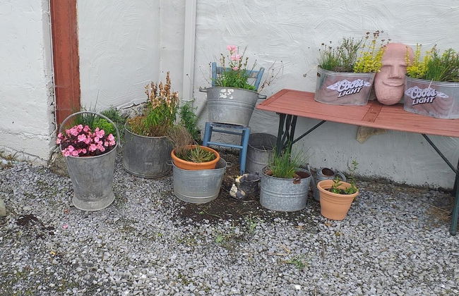 Murphy's Irish Farmhouse Near Ballybunion - Foto 17