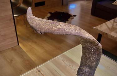 CAL DOMÈNEC RIALP - Dúplex con encanto - Se admiten mascotas - Foto 51