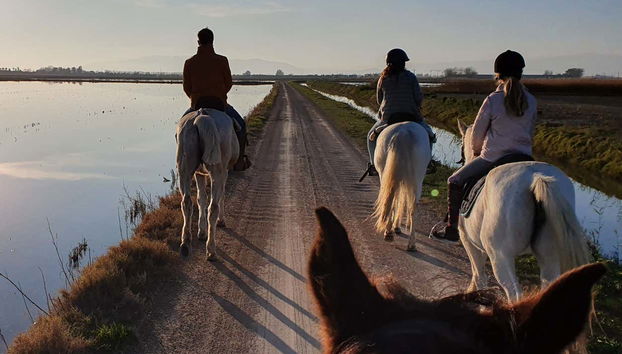 Passeio a cavalo pelo Delta do Ebro