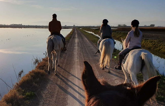 Paseo a caballo por el Delta del Ebro - Foto 3