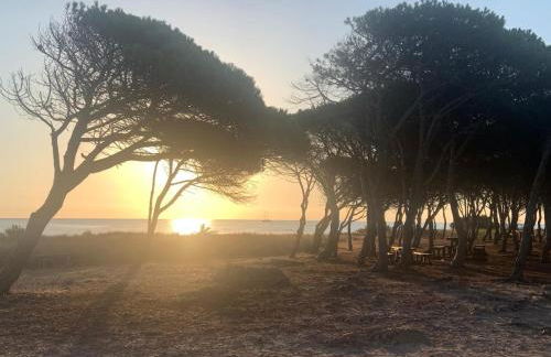 Salt Whisper - Trilocale centrale inondato di luce - Foto 15