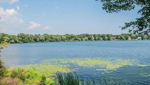 Lake Shore House - Foto 2