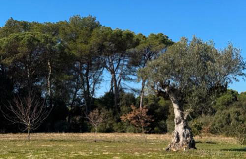 Ca l'Esclatat - Foto 12