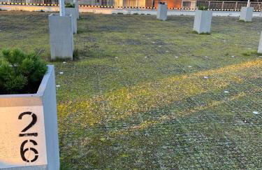 Apartament Marina - Foto 30