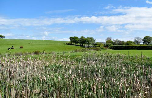 Birch Lodge - Uk30006 - Foto 29