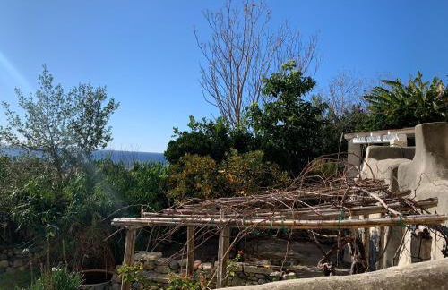 Palazzo Carratelli - Foto 49